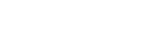 Tint and Frost Boss Logo